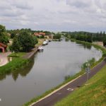 Ein großer Kanalhafen, umgeben von Bäumen und Urbaität.