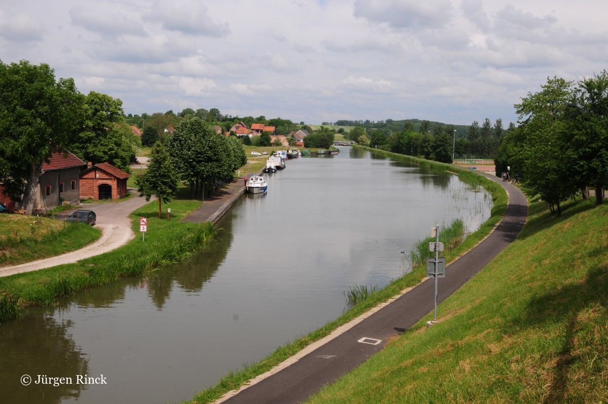 Ein großer Kanalhafen, umgeben von Bäumen und Urbaität.