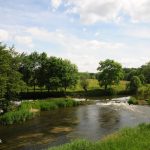 Idyllischer Bachlauf mit Wehr in grüner Landschaft.