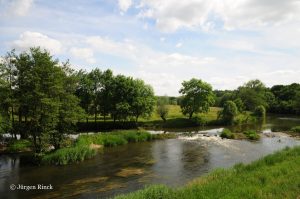 Idyllischer Bachlauf mit Wehr in grüner Landschaft.