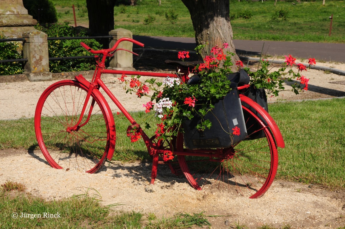 Rotes altes Rad mit Geranien in den Packtaschen