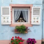 Ein quadratisches Fenster mit aufgeklappten hölzernen weißen Fensterläden, zierlich gehängter Gardine und Blumenschmuck in Geranienkästen