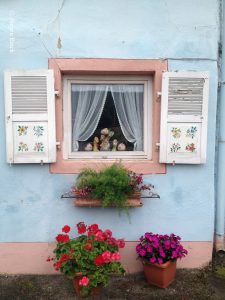 Ein quadratisches Fenster mit aufgeklappten hölzernen weißen Fensterläden, zierlich gehängter Gardine und Blumenschmuck in Geranienkästen
