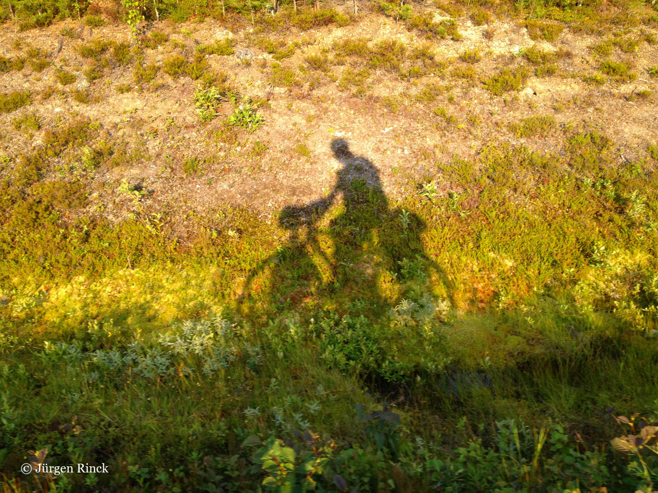 Schatten einer Radfahrers im Profil auf gelbgrünem Straßenrand.