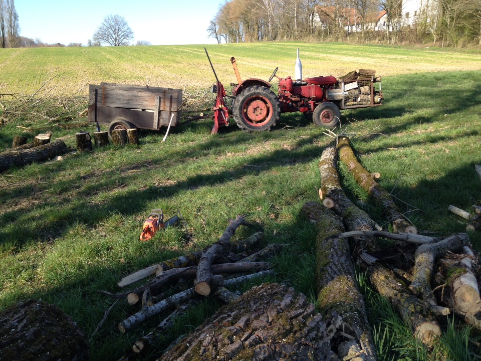 Einige liegende Stämme führen den Blick auf einen roten, uralten Traktor mit kleinem Anhänger zu. Im Hintergrund eine Baumreihe am Rad eines kahlen Achers.