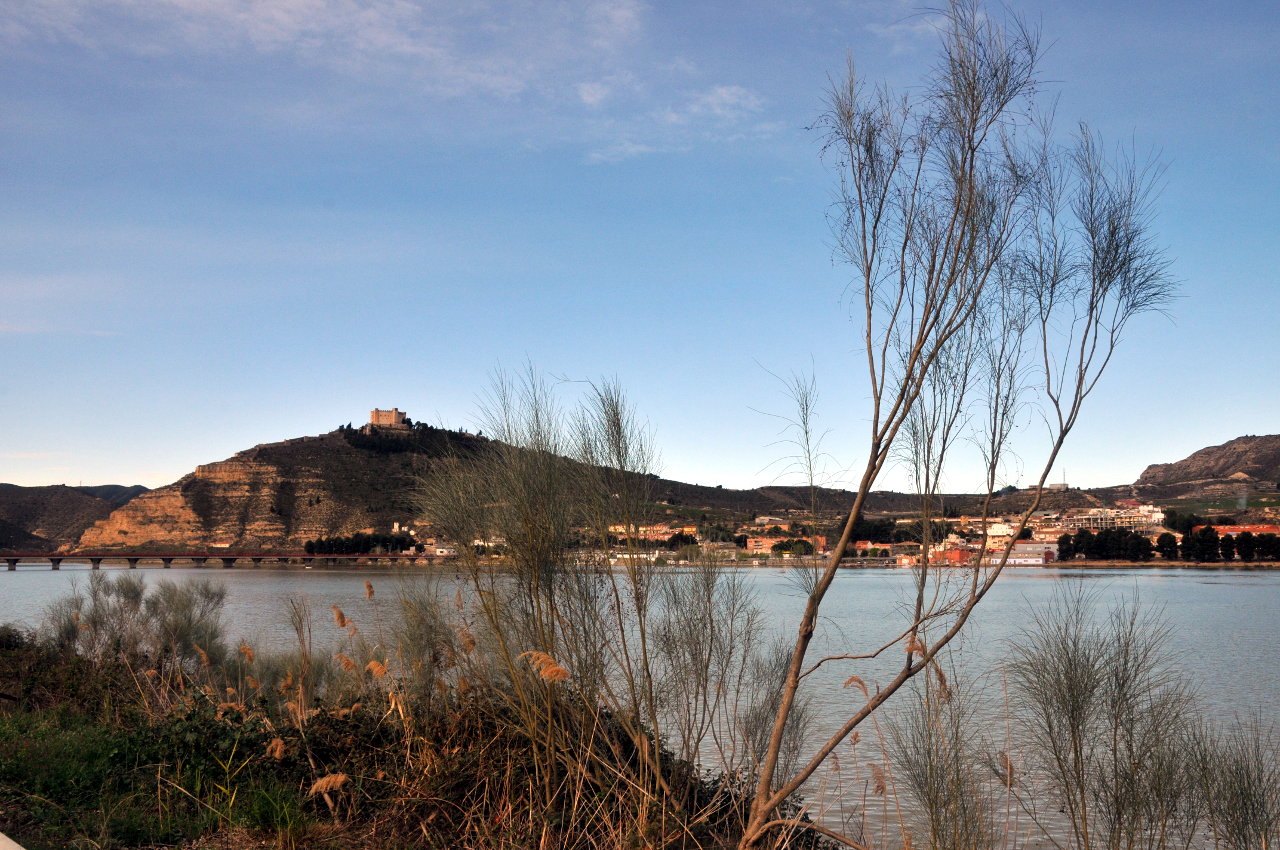Blick über ziseligen Uferbewuchs auf einen blauen Fluss unter blauem Himmel. Auf einem Hühel jenseits steht ein Kastell.