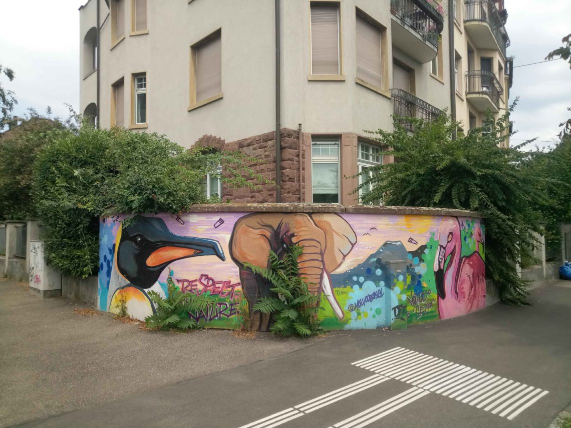 Graffito an einer Backstein Gartenmauer, innerstädtisch. Zu sehen ist ein Pinguin und ein Elefant. Aus den Ritzen vor der Mauer wachsen grüne Pflanzen, die Szene prima ergänzen.
