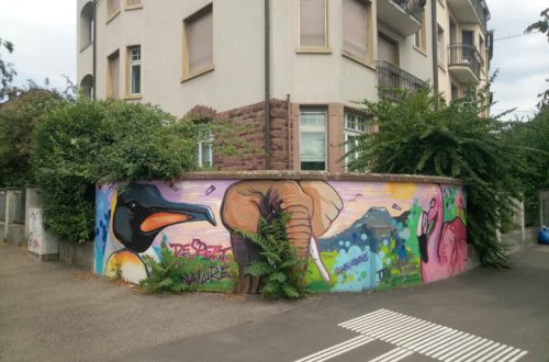 Graffito an einer Backstein Gartenmauer, innerstädtisch. Zu sehen ist ein Pinguin und ein Elefant. Aus den Ritzen vor der Mauer wachsen grüne Pflanzen, die Szene prima ergänzen.