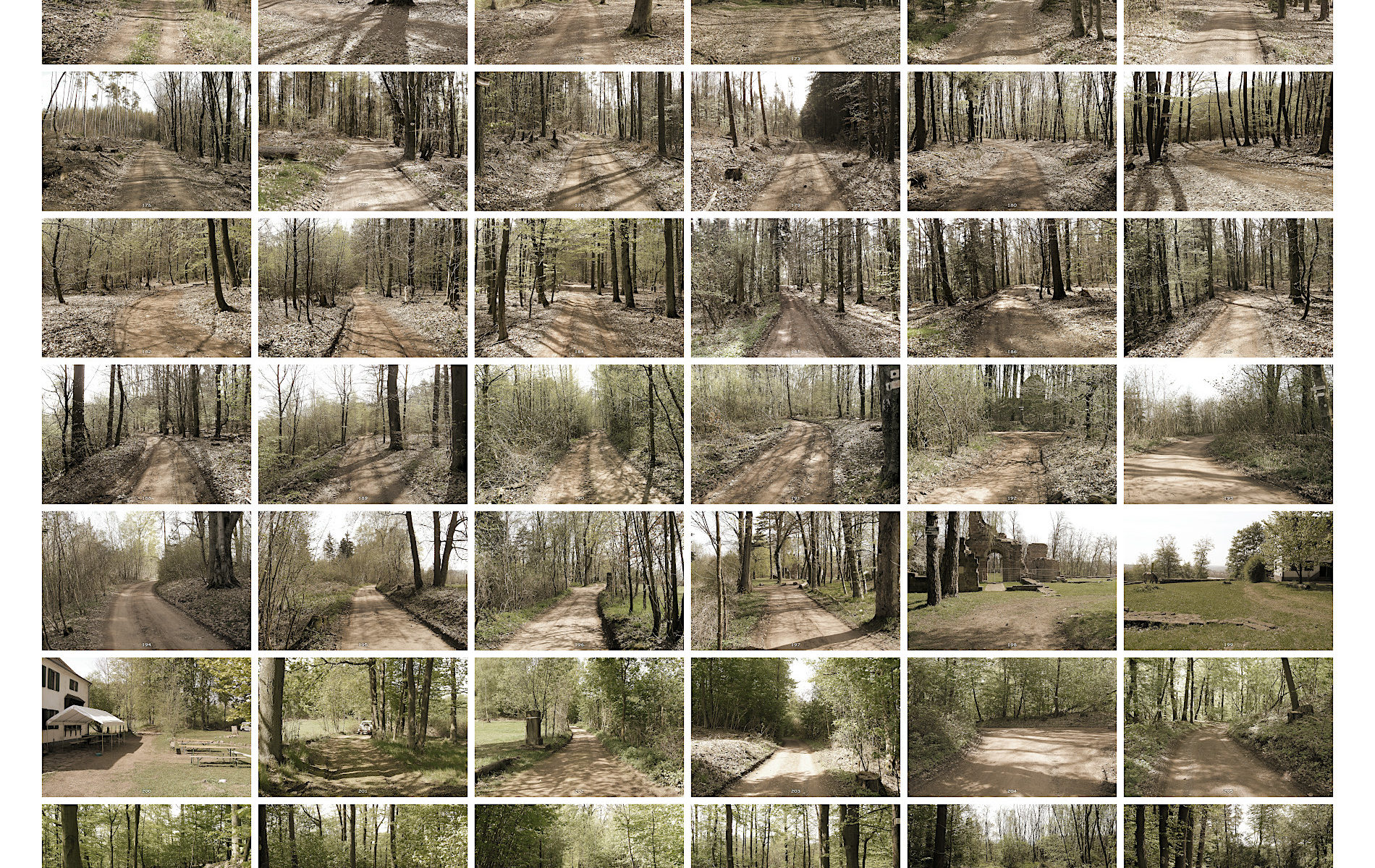 Bildcollage mit 6 mal 9 in einem Raster gesetzten Fotos von Waldwegen, stets in Richtung Wegeverlauf. Die Bilder haben eine leichte Sepiatönung und zeigen frühlinghaften Wald mit noch lichtem Blattwerk